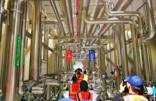 百威雪津 世界級智慧低碳工廠，黑科技護航啤酒誕生之旅與接待業務